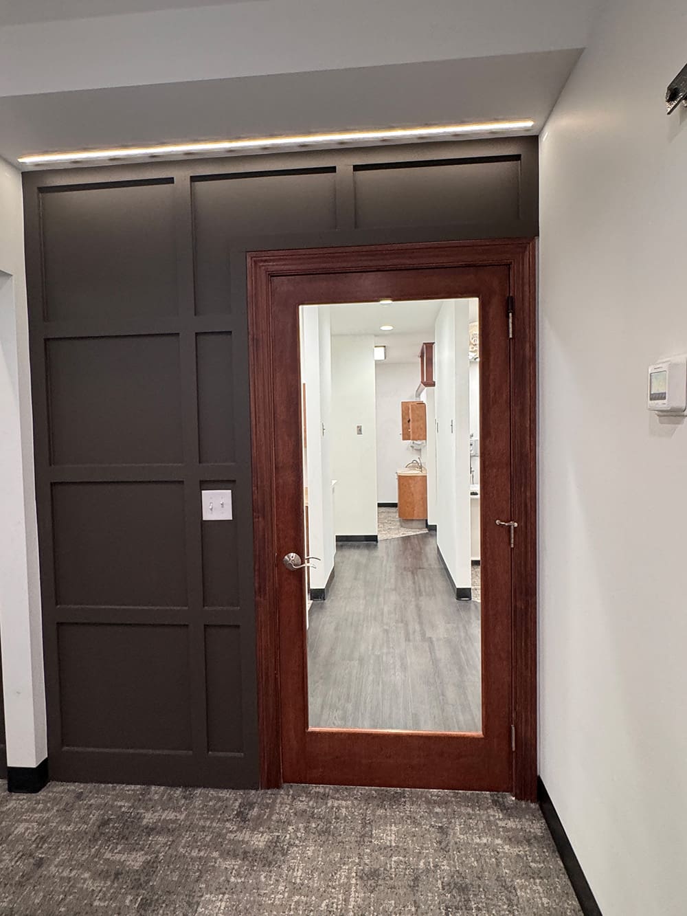 A wooden door with a large glass panel stands in an interior hallway with dark paneled accent wall, gray carpet, and modern white walls. Through the glass, another hallway with wood flooring is visible.