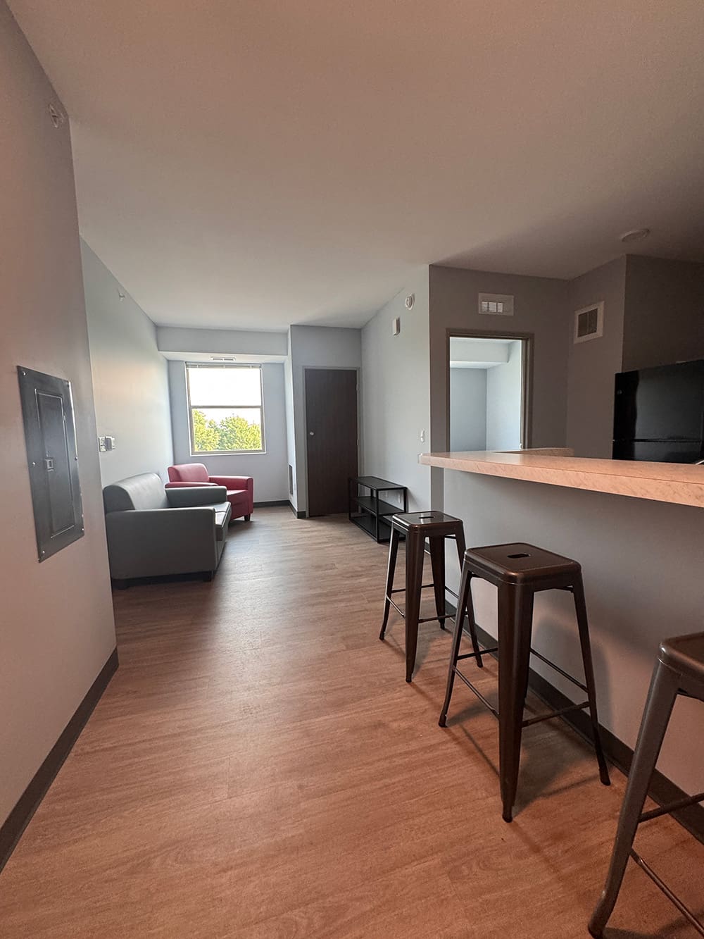 A modern student housing apartment at ATCC Foundation Hall featuring light wood flooring, a kitchen counter with three metal stools, a living area with a gray sofa and red armchair by the window, and neutral-colored walls.